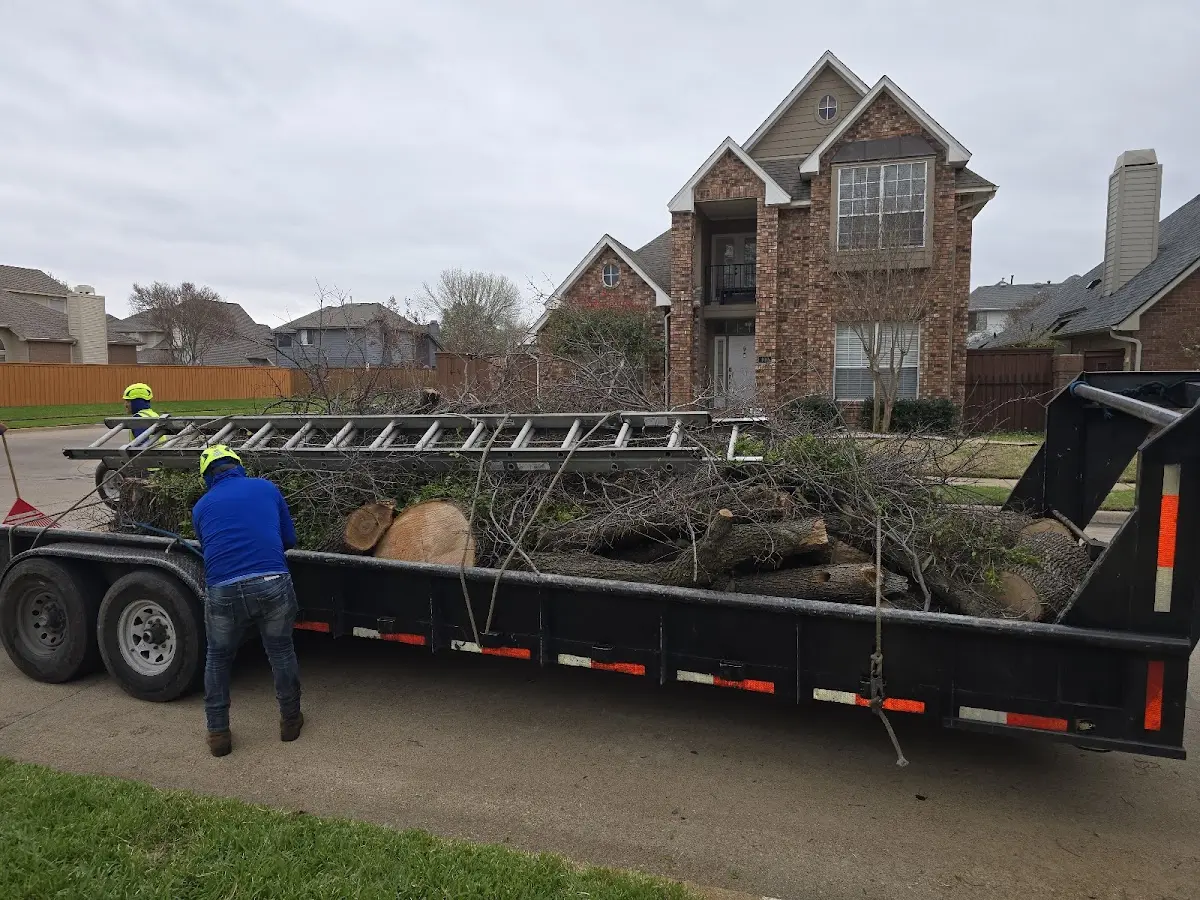 Expert Tree Removal with proper safety equipment in Bradford
